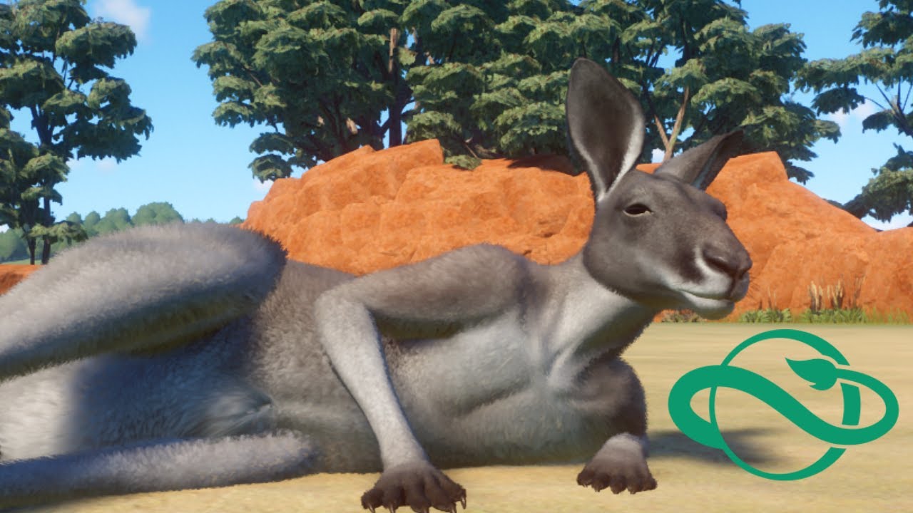 Hopping Into The Kangaroos New Home! - Planet Zoo - Ep26