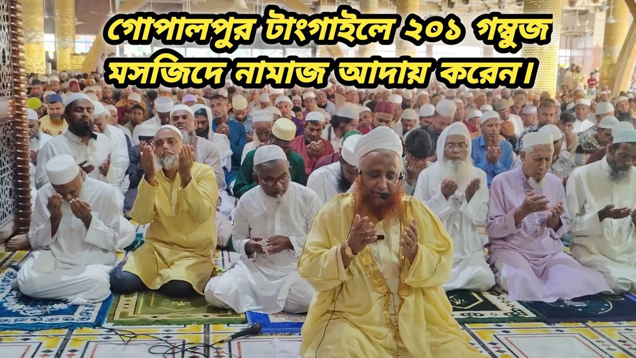 ২০১ গম্বুজ বিশিষ্ট শাহী মসজিদের ইমামতি করেন মুফতি সাদেকুল ইসলাম সিদ্দিকী। টাংগাইল