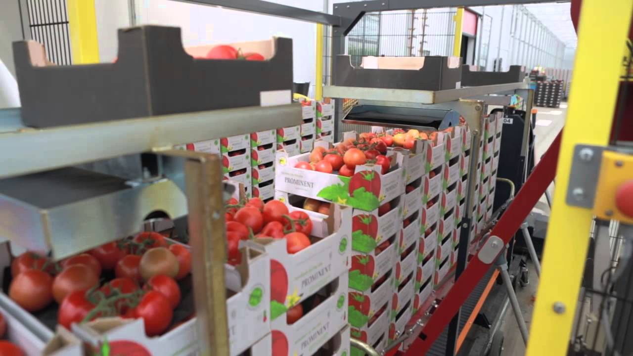Hans Fakkert over de logistieke oplossing van Berg Hortimotive