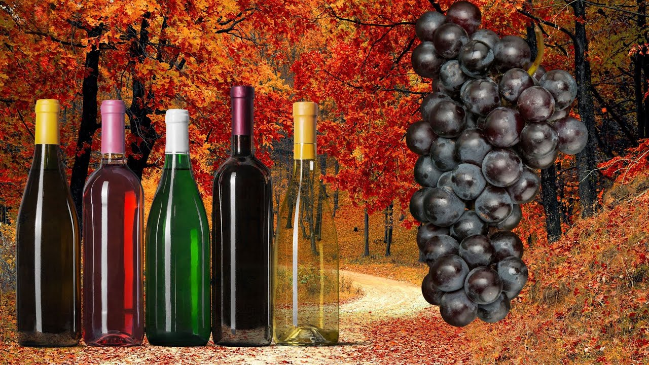 Jesienne Wino  domowe z ciemnych winogron - Praktyka u Praktyka