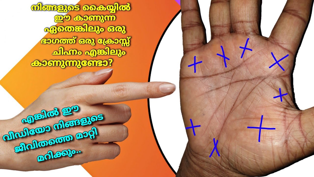 നിങ്ങളുടെ ഭാവി കൈയ്യിൽ നിന്നും വായിച്ചെടുക്കാം || Palmistry in Malayalam