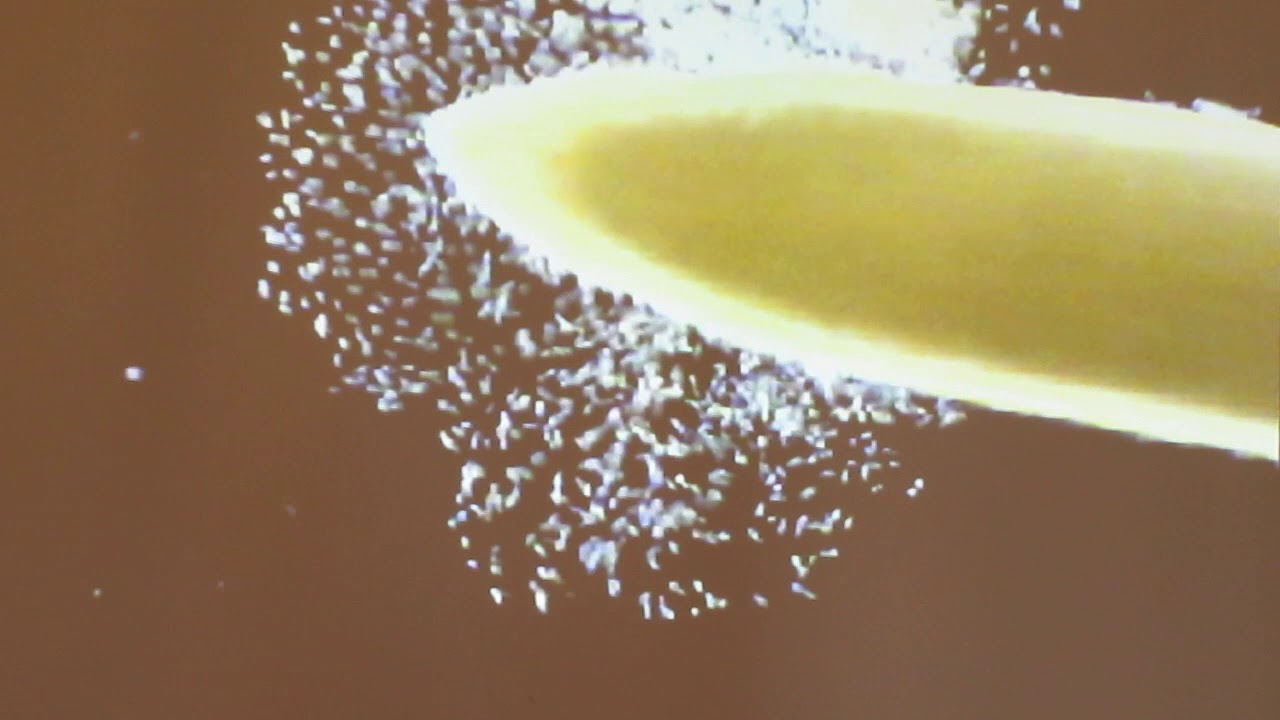 Soil -  A living Organism with Ray Archuleta