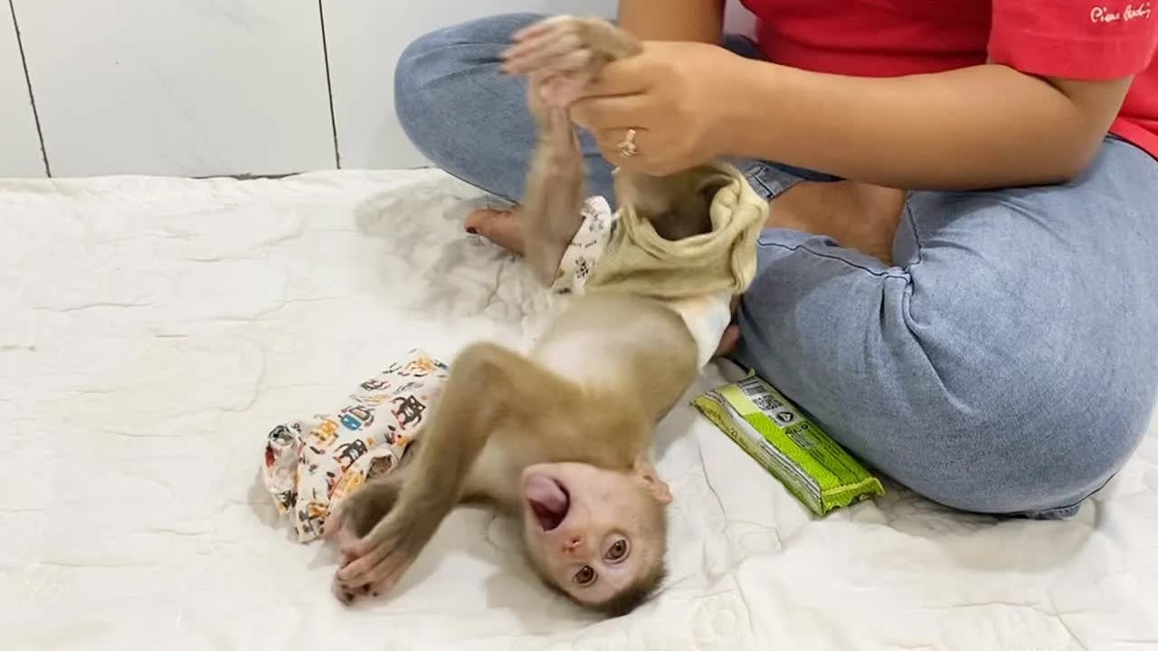 Attractive Lil DAM Leak Long Tongue Playing While Mom Wearing Outfit For Him