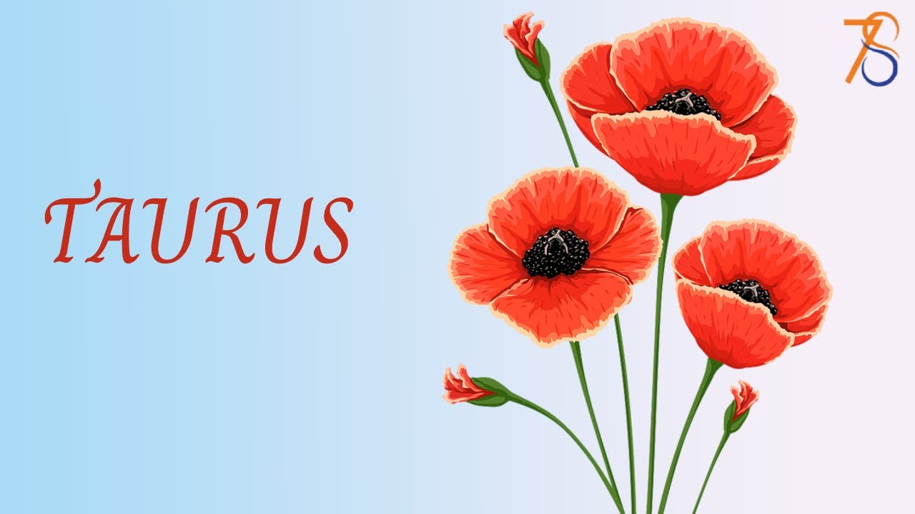 TAURUS 💕 Amour Tarot APRIL 6, 2024 🧡 Today Card Reading | Daily Prediction | Single, Couple