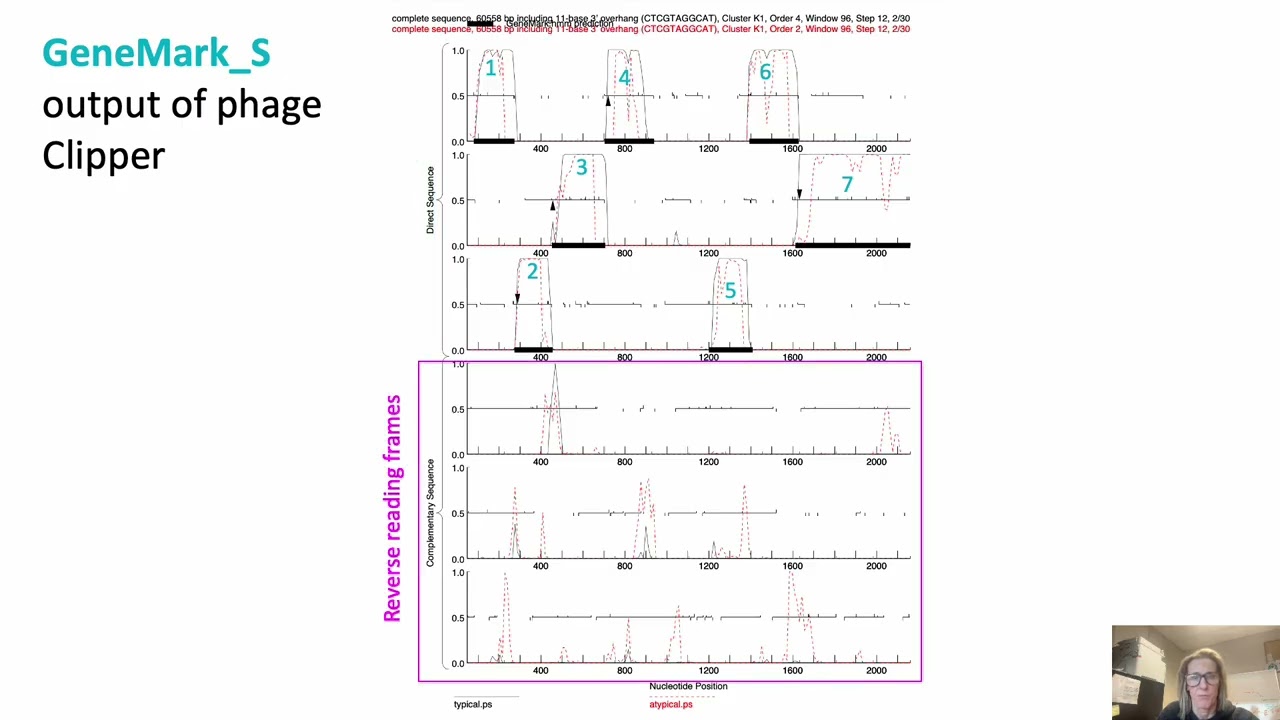 Predicting genes in a Genomic Sequence Part 4