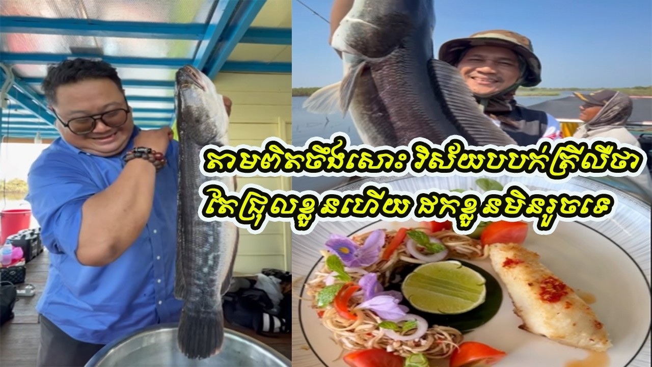 តាមពិតចឹងសោះ​ វិស័យ​បបក់ត្រី​លឺថា​ តែជ្រុលខ្លួនហេីយ​ ញៀនដកខ្លួនមិនរួចទេ​ ពិតចឹងមែនឬអត់?