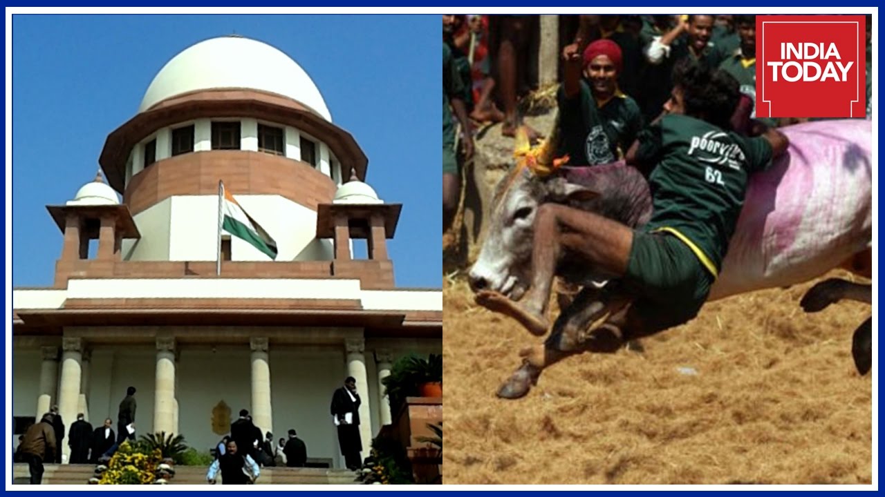 Supreme Court Ban On Jallikattu Openly Defied In Tamil Nadu