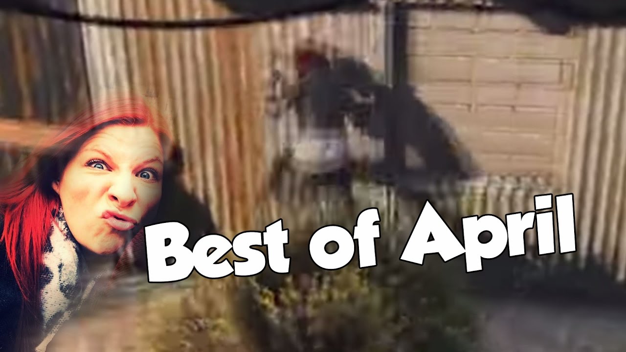Tinkerleo Best of Oddshots - Liebenswert, peinlich und ein bisschen durchgeknallt! #9