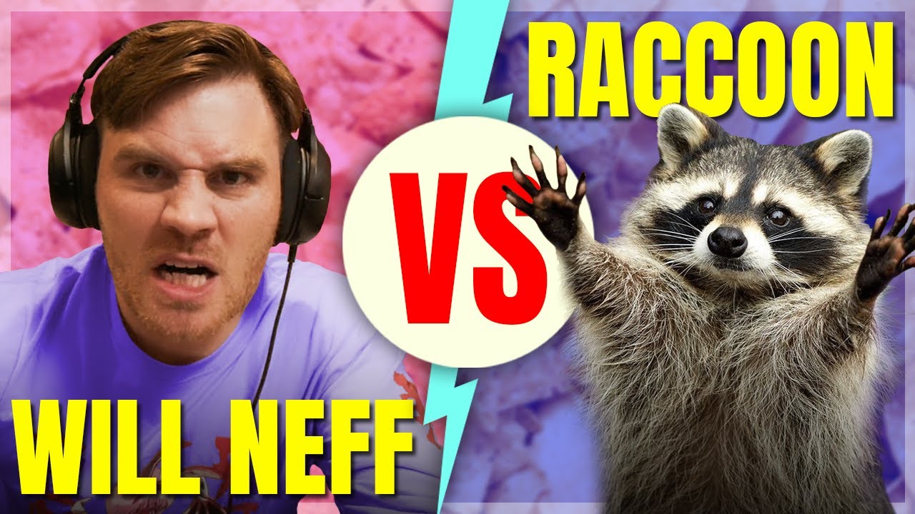 Will Neff Exposed By A Cute Raccoon