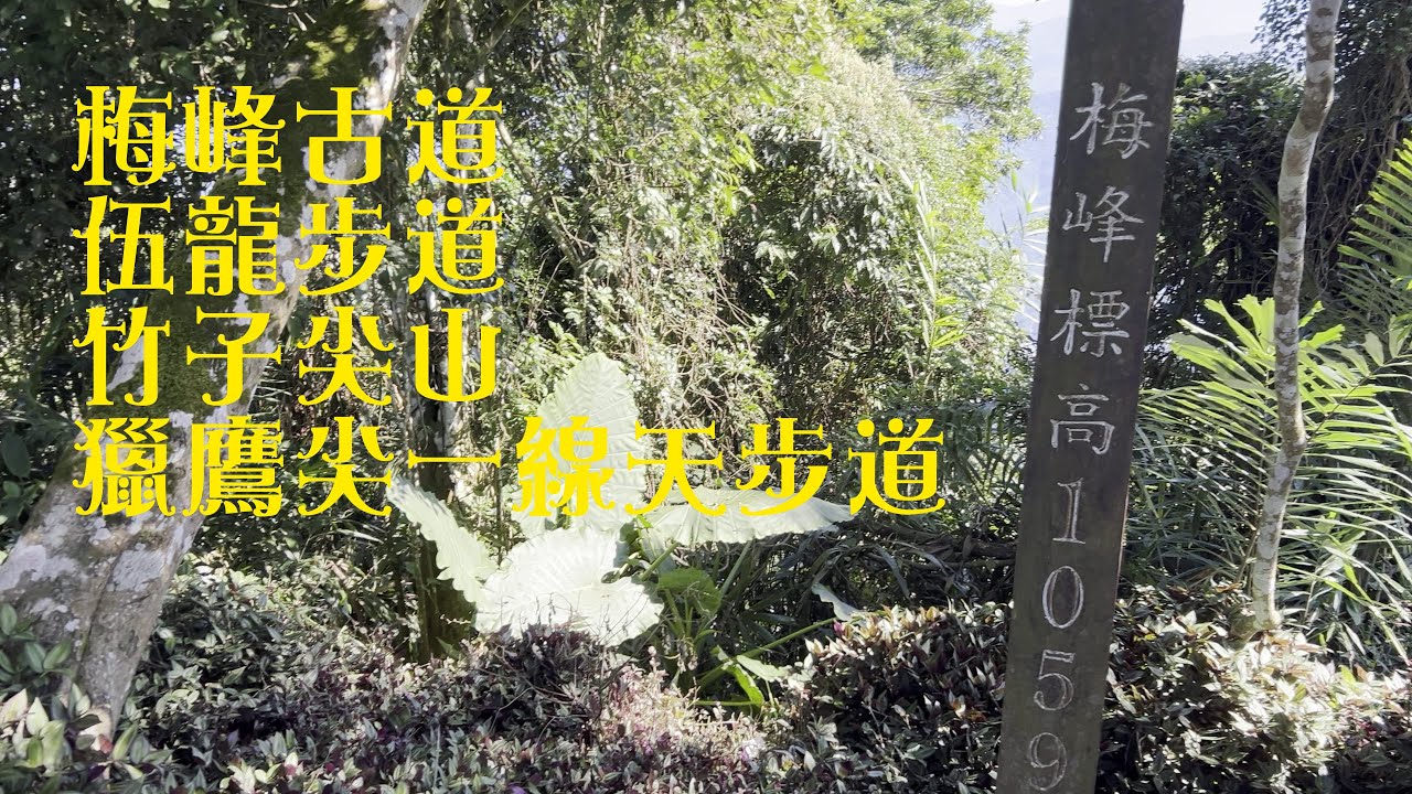 梅嶺一日遊