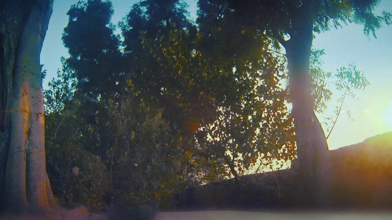 radha bhag sthali // seeya in my garden