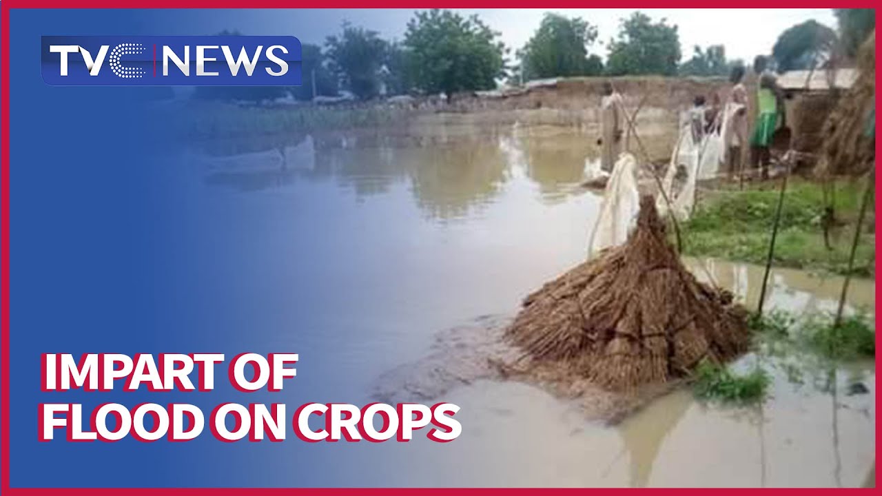 Farmers Concerned About Impact Of Floods On Crops
