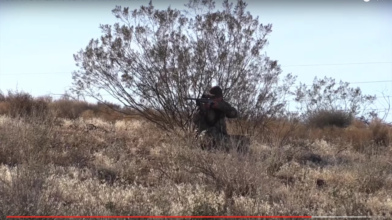 COYOTE CALLING SETUP FOR SUCCESS!!!