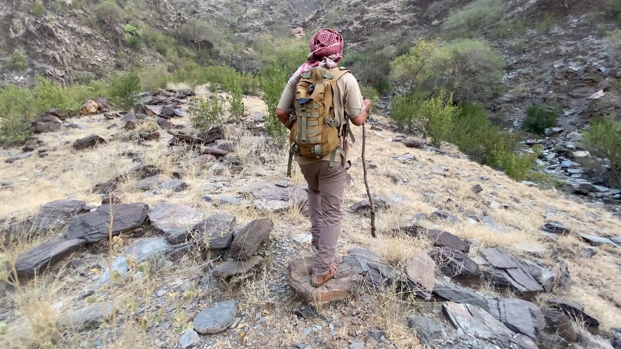رحلة البحث عن الكنز