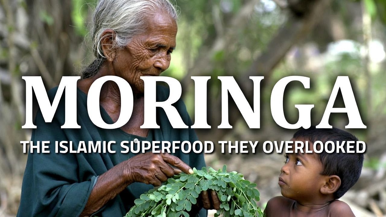 The “Forbidden” Islamic Superfood Big Pharma Ignores — The Power of Moringa