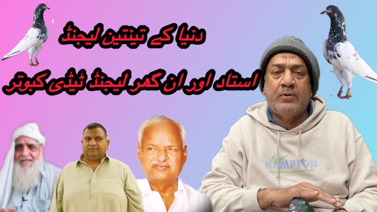 ustad Amir tipu /// teddy kabotar // 