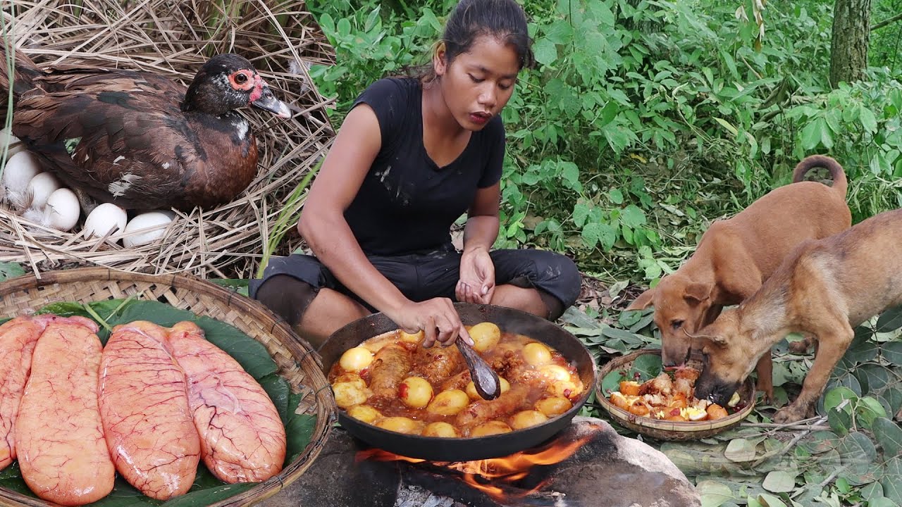 Catch duck and pick egg to cook with egg fish - Big egg fish curry with duck egg Eating with Puppies