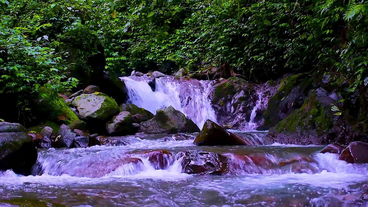 Quiet Mountain River Night | Relaxing Flowing Water Nature Sounds for Deep Sleep