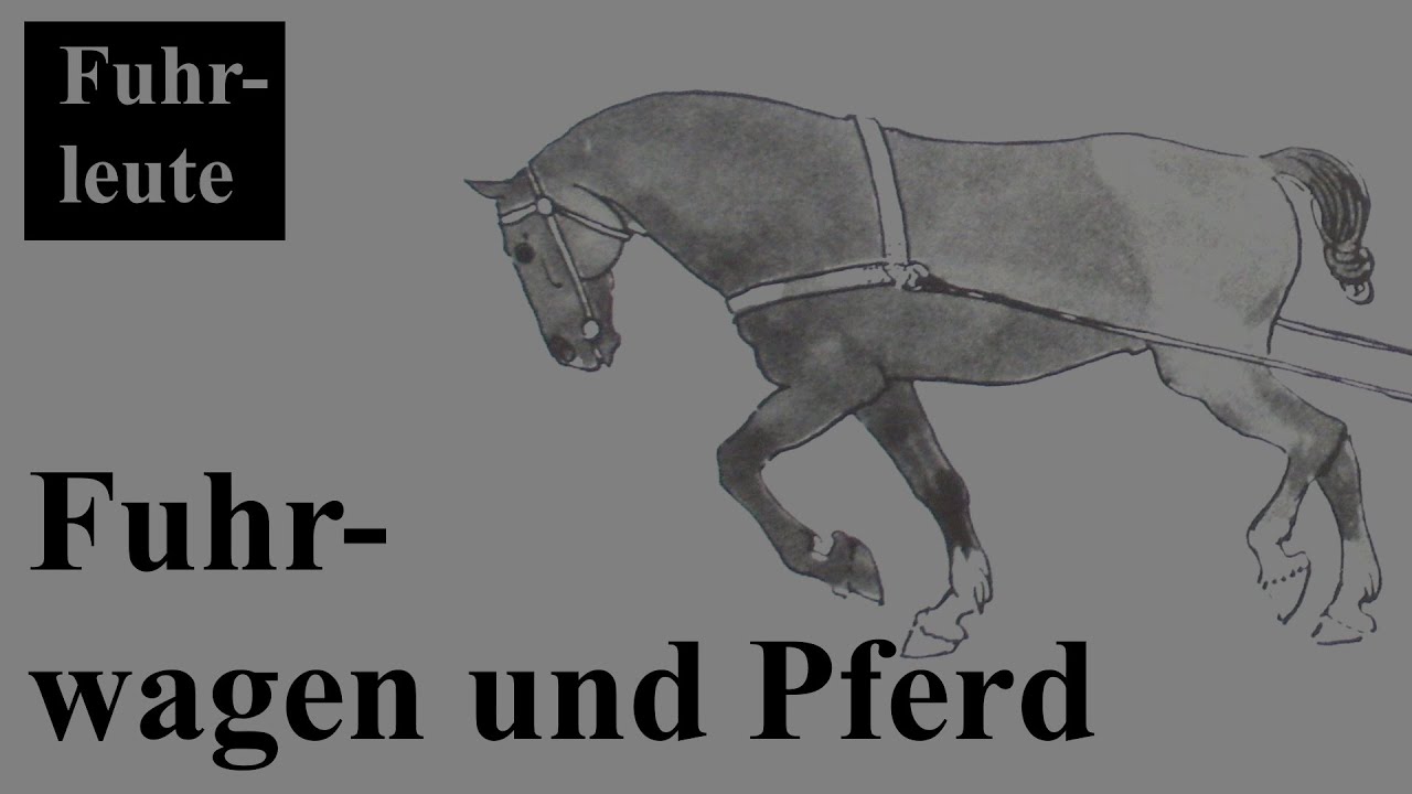 Fuhrwagen und Pferd. Die Transportmittel sp&auml;tmittelalterlicher Fuhrleute