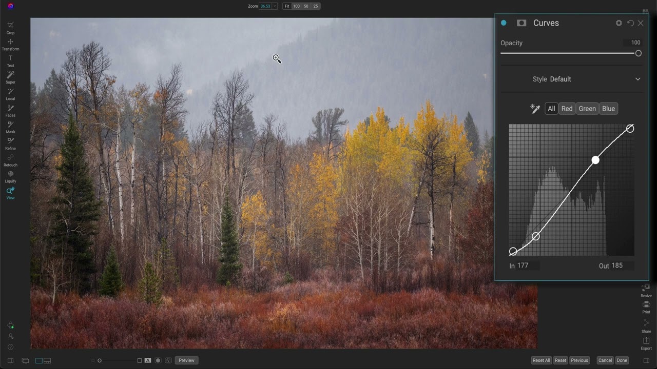 A Sneak Peek at the New Curves Filter Enhancements