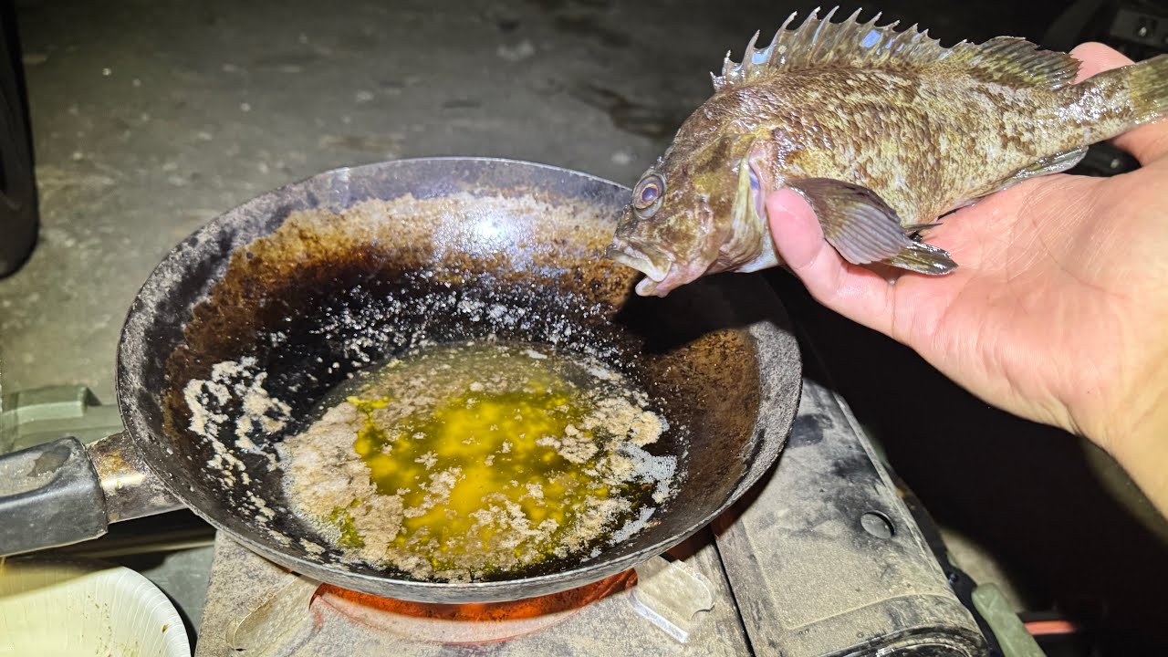 漁港で巨大投網を投げて取れた食材だけでサバイバルしてみると？