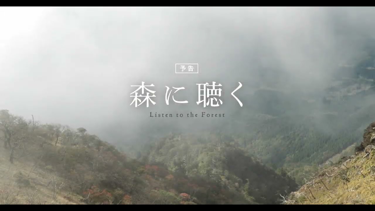 映画『森に聴く Listen to the Forest』予告編