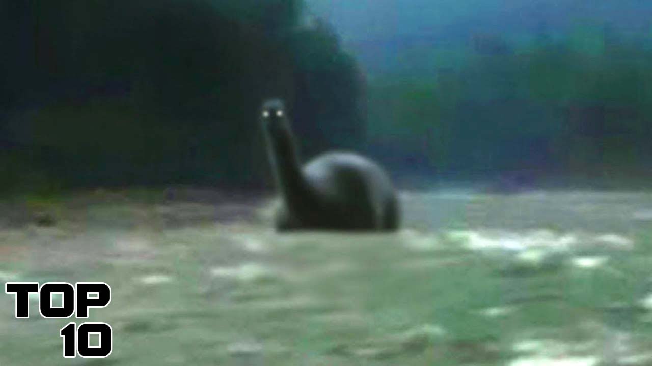 Top 10 Strangest Things Found In The Amazon Forest