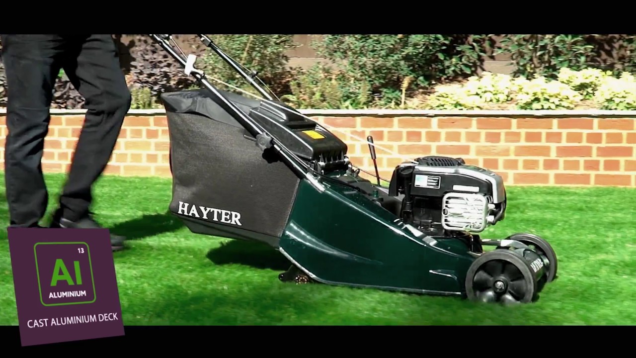 Hayter Harrier