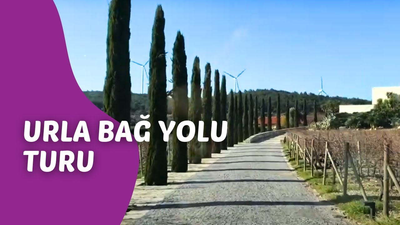 Urla Bağ Yolu Turu | Davincitur