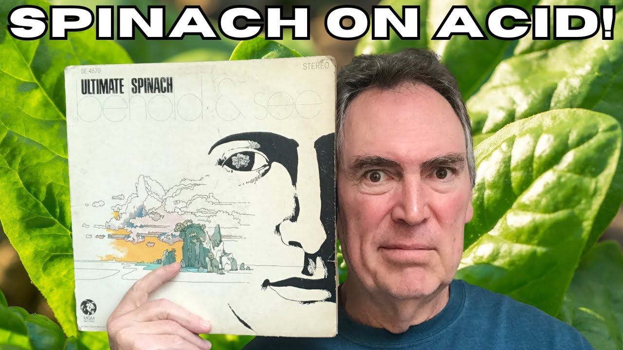 Ultimate Spinach - Behold & See - Acid Rock Review with AUDIO SAMPLES! #vinylcommunity 
