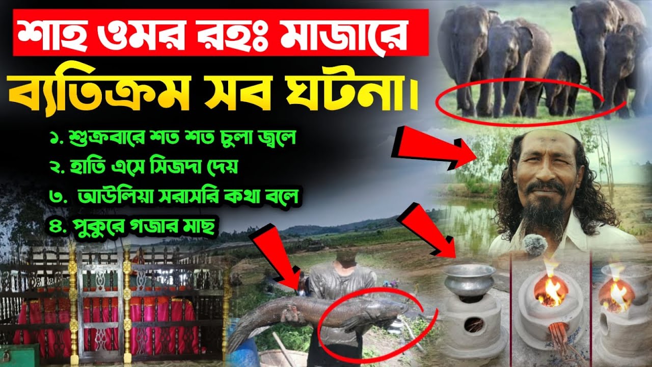 এই আউলিয়া নাকি সরাসরি কথা বলে।শাহ ওমর রহঃ মাজারে ঘটে সব আধ্যাত্মিক ঘটনা।