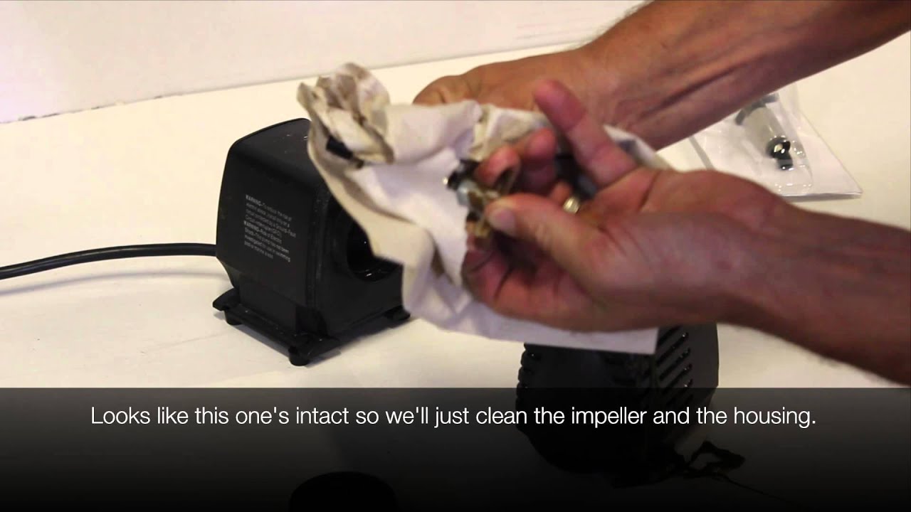 Mag Drive Pump - Impeller Replacement