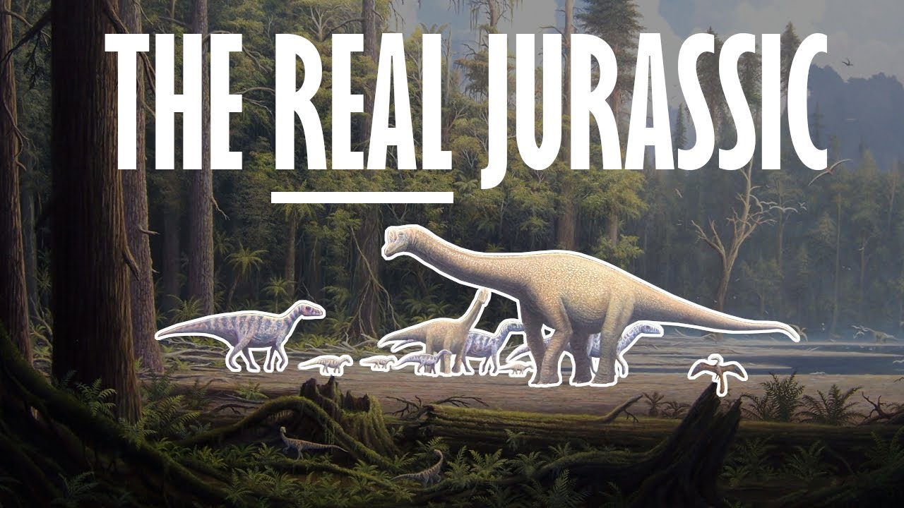 The Jurassic | The true age of the dinosaurs