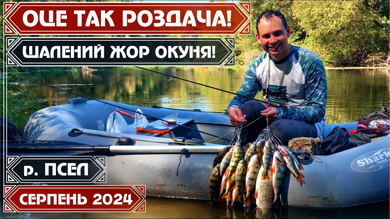 БЕЗУМНЫЙ ЖОР ОКУНЯ на реке ПСЕЛ! ПОПАЛИ НА РАЗДАЧУ! ТОПВОТЕРЫ и ВЕРТУШКИ УБИЙЦЫ!
