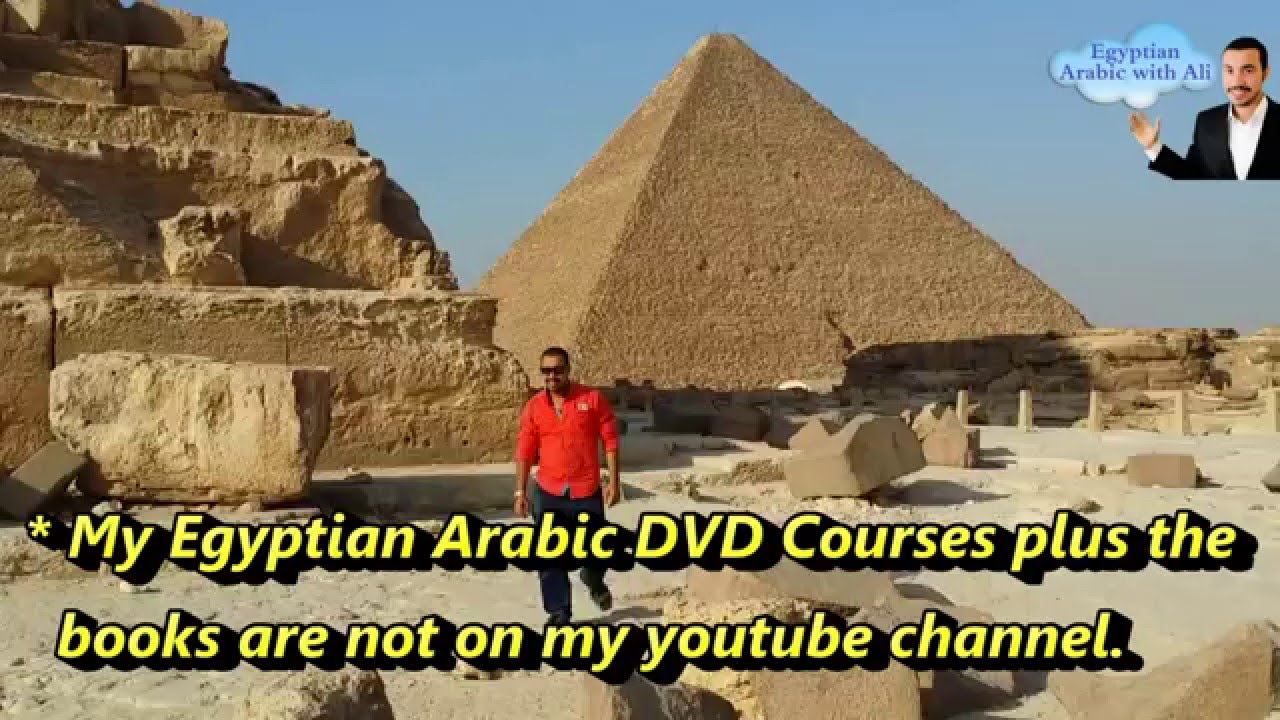 Arabic Lesson 44 about the rabbit ( Egyptian Arabic )