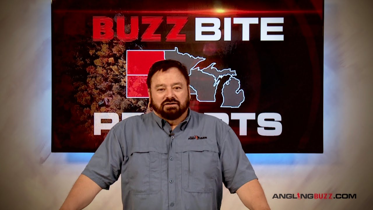 Buzz Bite Weekly Report 06/08/16 Dave Csanda