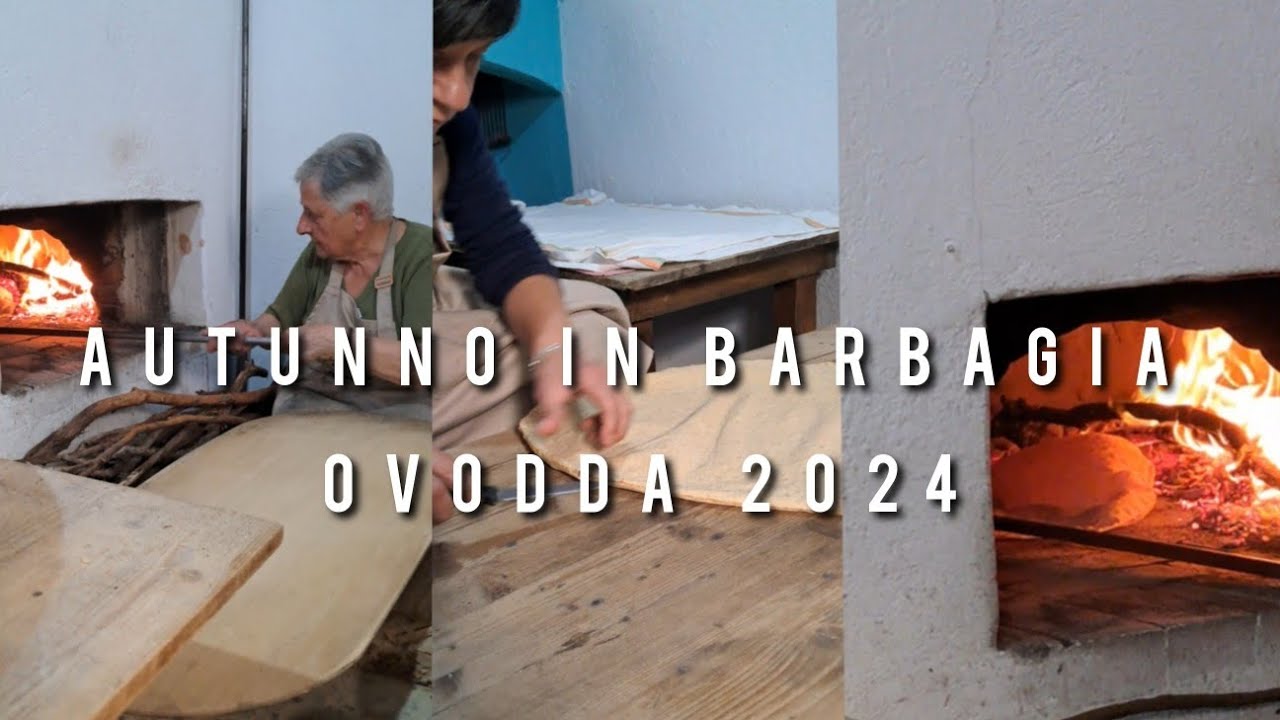 Autunno in Barbagia #Ovodda #2024shorts