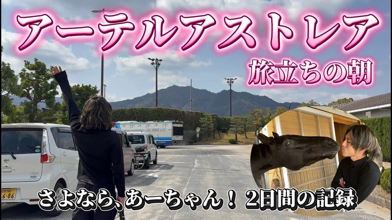 【さよならアーテルアストレア】多くの人に愛されたあーちゃんが栗東を去った日。動画の最後には関係者からの贈る言葉も。テロップは赤城真理子記者。涙腺の緩む密着ドキュメント！！《東スポ競馬》