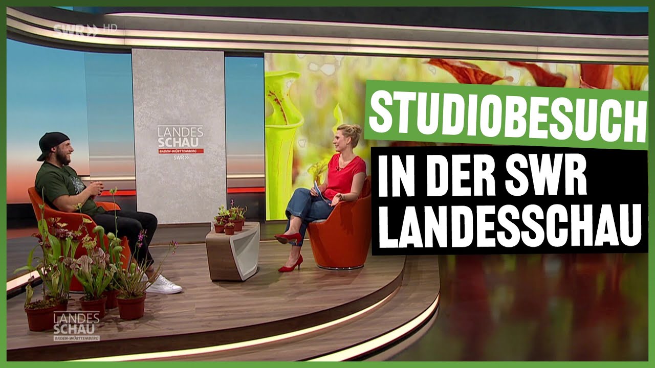 #147 Karnivoren-Talk in der SWR Landesschau in Stuttgart