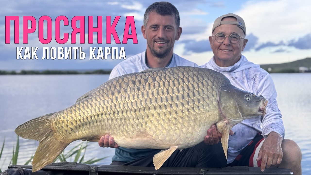 ПОЙМАЛИ ТОННУ КАРПА. Водоем Разлив Просянка. Как ловить карпа на СОРЕВНОВАНИЯХ. Карпфишинг.