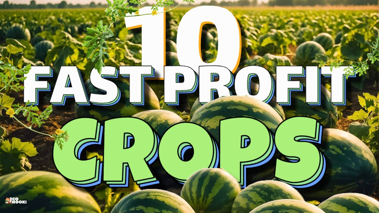 10 Fast Growing Crops for Beginners to Make Money Quickly!