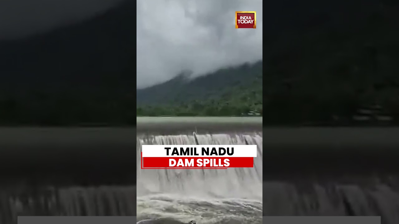 Tamil Nadu Dam Spills Over After Heavy Rainfall, Surplus Water Gushes Through Gates #tamilnadu