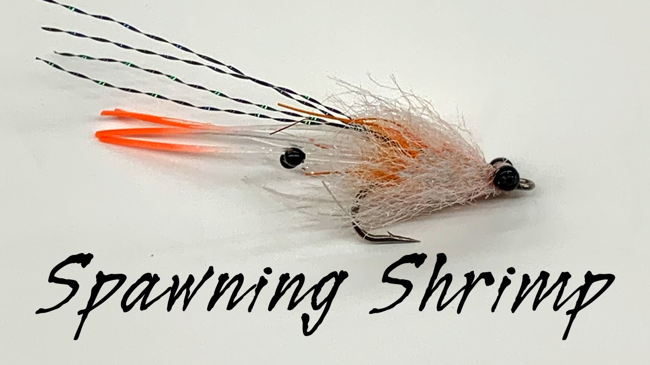 Tying the Spawning Shrimp Fly with Joe Herron from Aquarius Fishing.