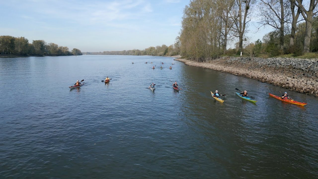 28.10. - 01.11.2022 - Rhein von Ludwigshafen nach Heidesheim