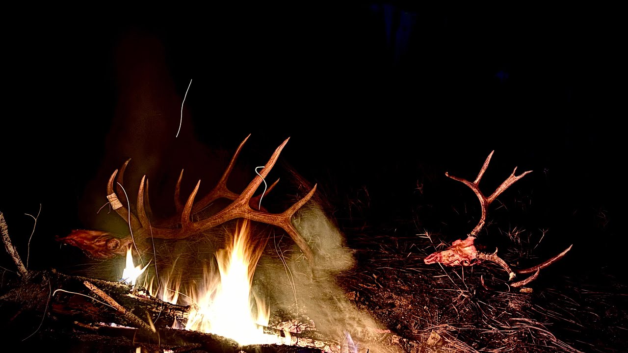 Wilderness hunt 2024