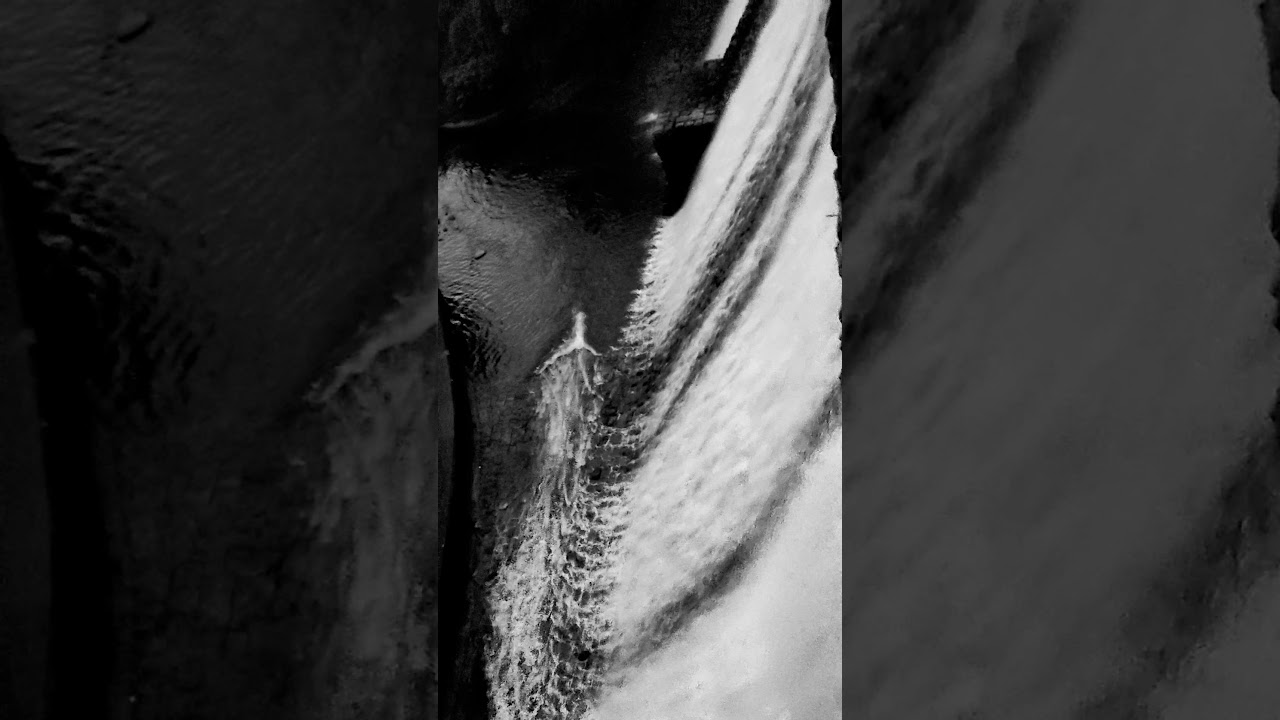 #dkps