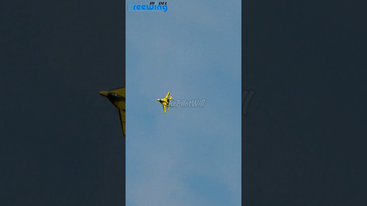 MiG-29 the Ultimate Twin 80mm EDF #rcplane #freewing #edfjet #aviation