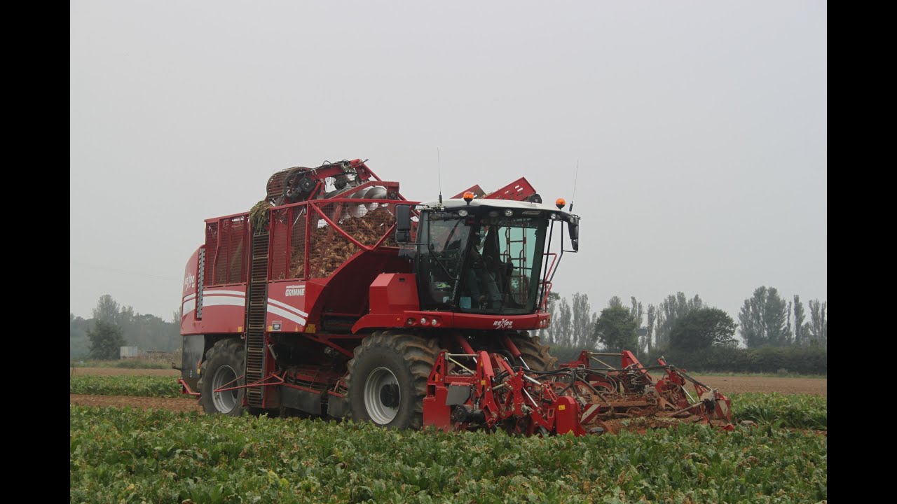 D.H.Barnes lifting Sugar Beet 29/09/14