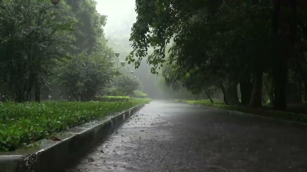 雷暴雨  White Noise Park Heavy Rain Sounds | Sleep, Study, Focus | 12 Hours