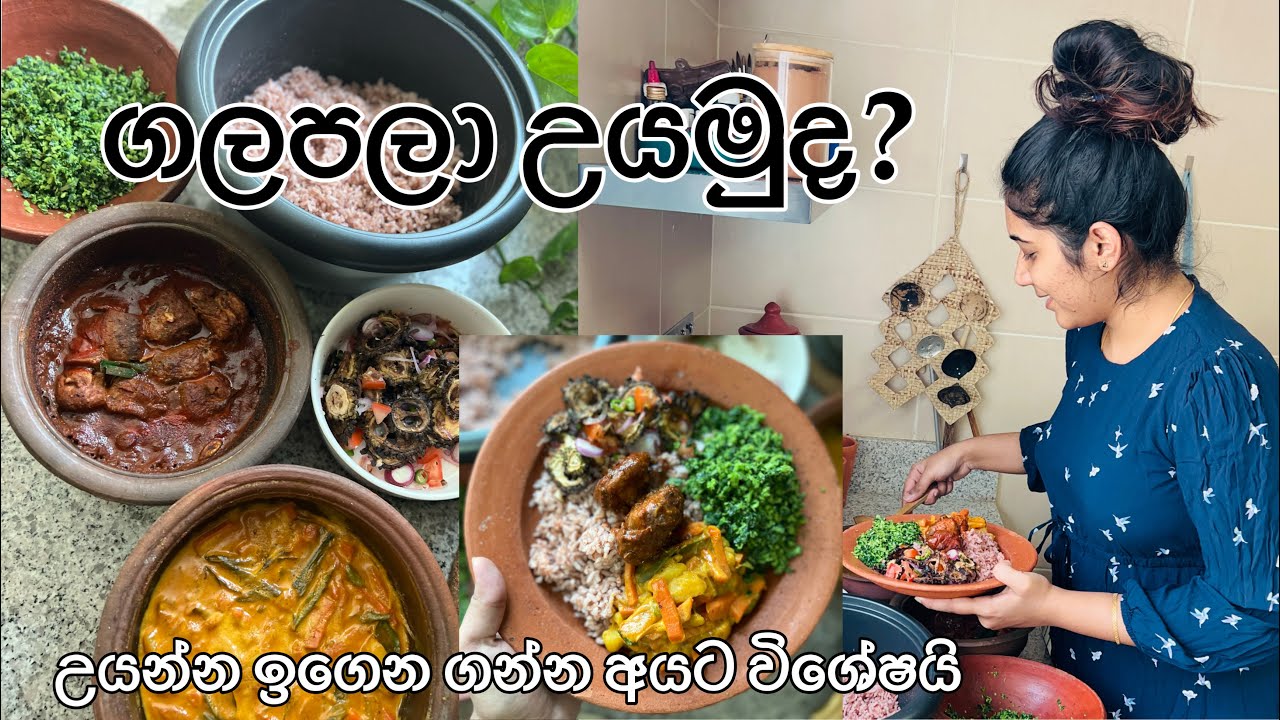 දවල් කෑම ගලපලා කන්න ආස හිතෙන විදියට උයමුද 😉( Various Menus for Lunch)